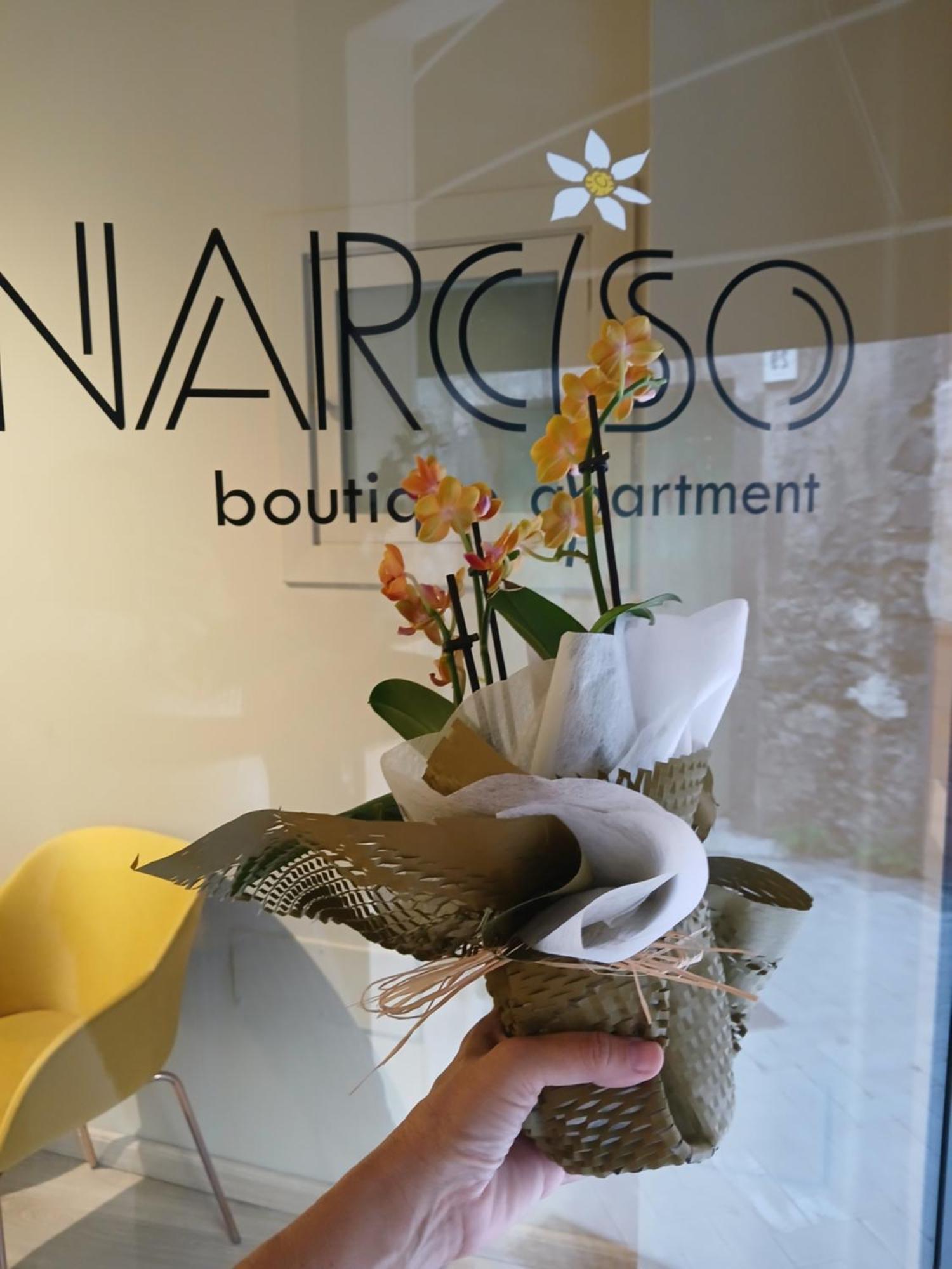 Narciso Boutique Apartment Acireale Zewnętrze zdjęcie